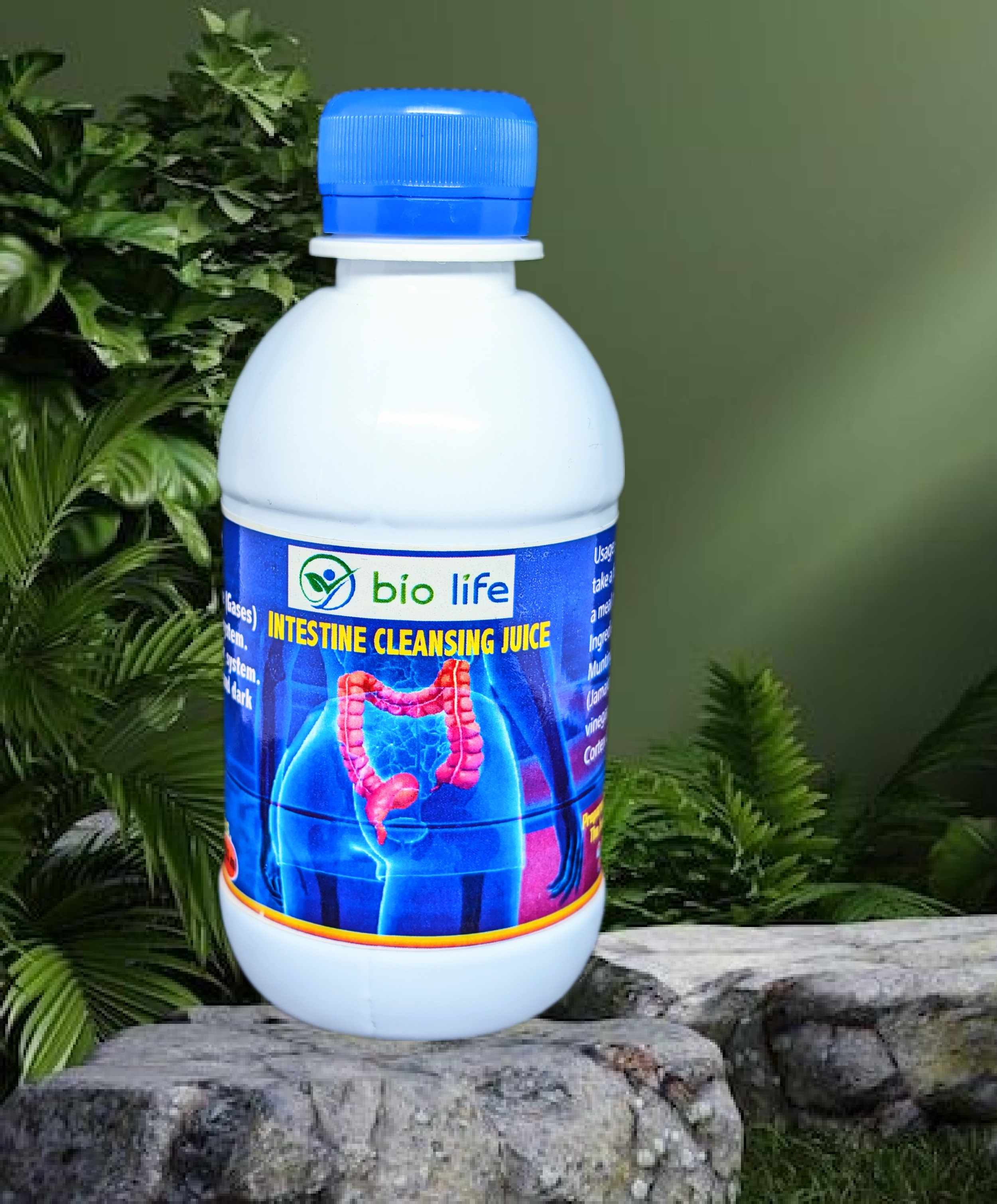 INTESTINE CLEANSING JUICE