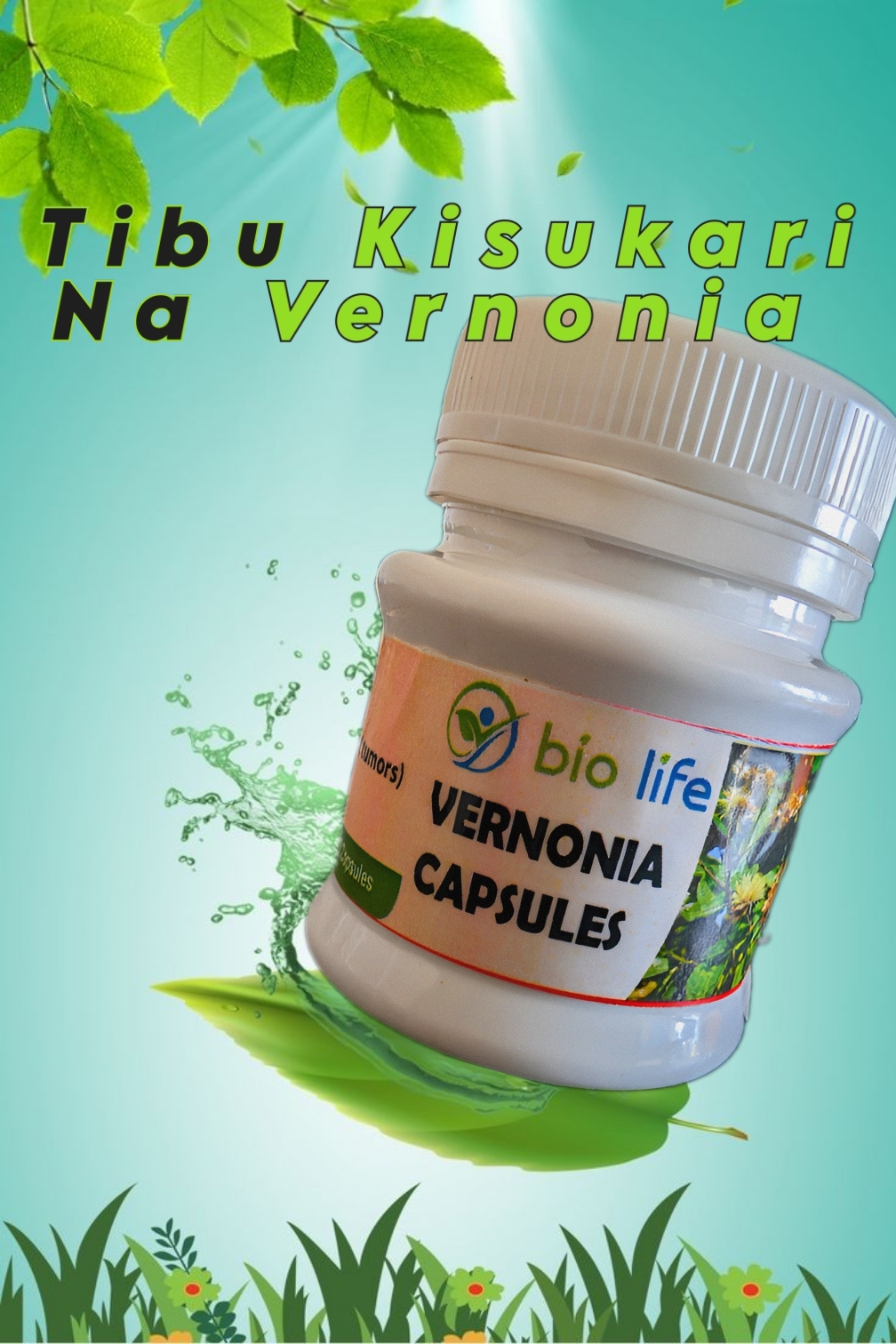 VERNONIA CAPSULES